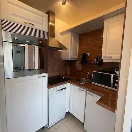 7mn From The Center/ Pool/parking Apartment Cannes
