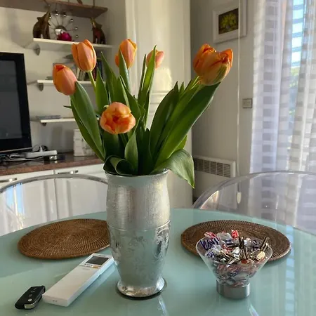 7mn From The Center/ Pool/parking Apartment